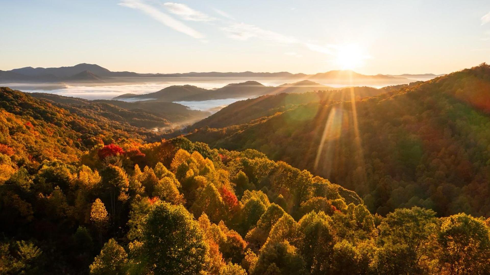 Elk & Embers Mountain Hideaway Hotel เวย์นวิลล์ ภายนอก รูปภาพ