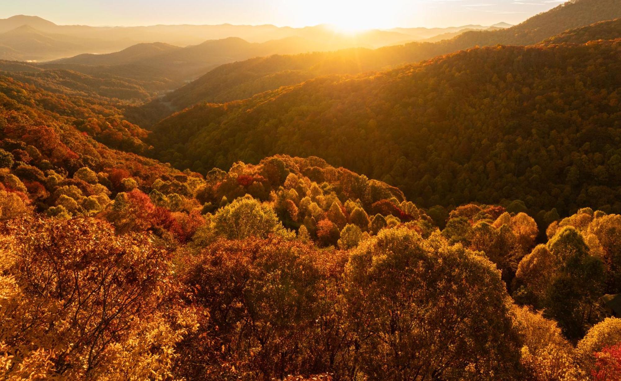 Elk & Embers Mountain Hideaway Hotel เวย์นวิลล์ ภายนอก รูปภาพ
