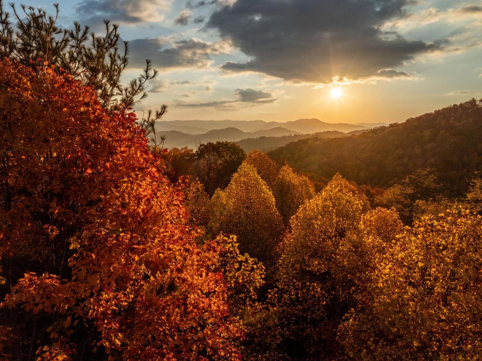 Elk & Embers Mountain Hideaway Hotel เวย์นวิลล์ ภายนอก รูปภาพ