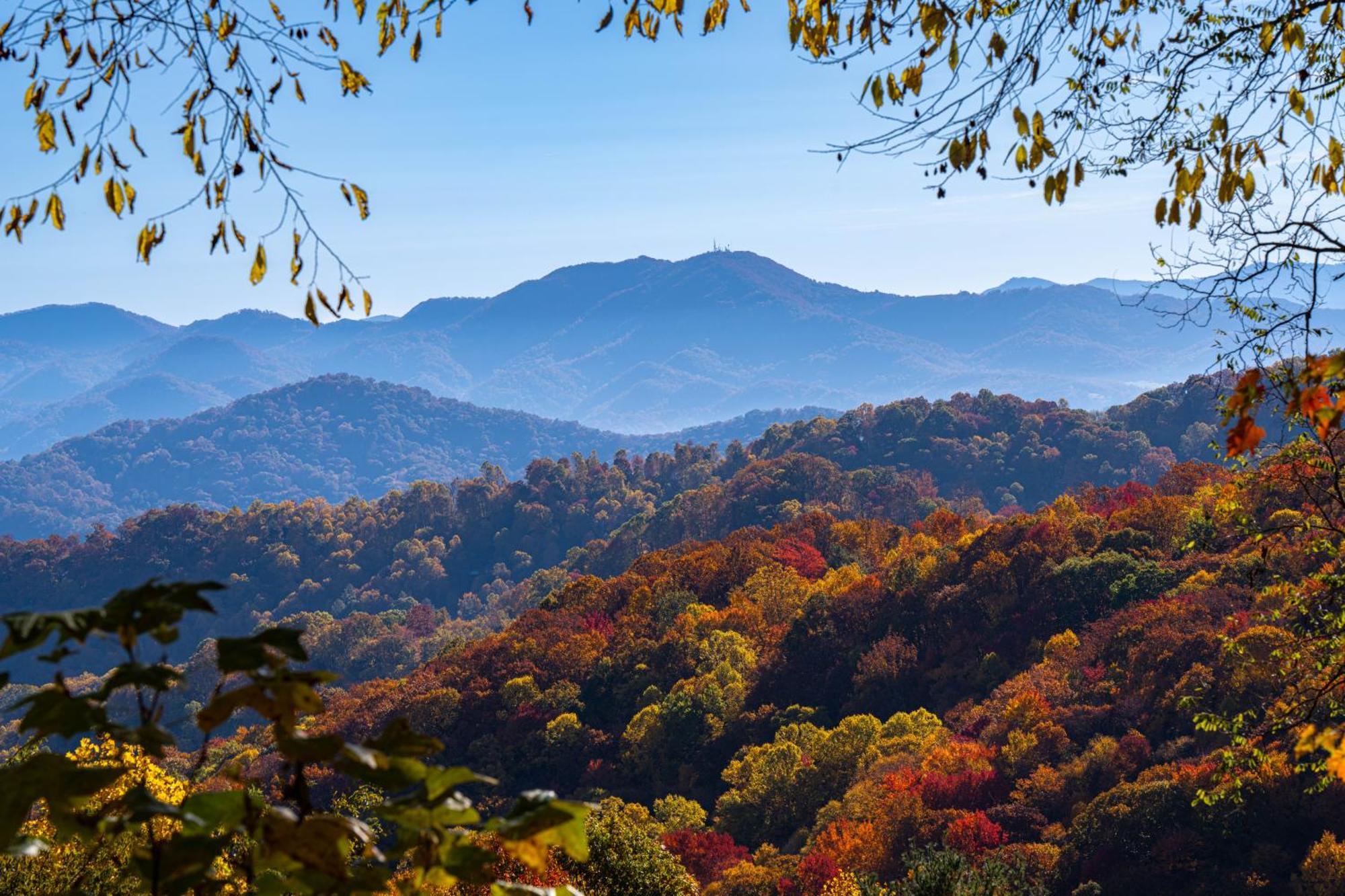Elk & Embers Mountain Hideaway Hotel เวย์นวิลล์ ภายนอก รูปภาพ