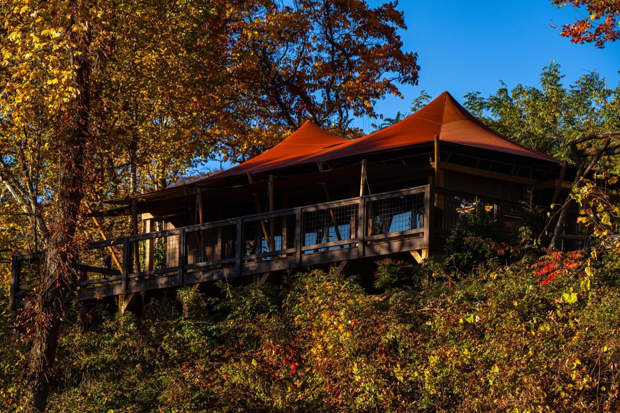 Elk & Embers Mountain Hideaway Hotel เวย์นวิลล์ ภายนอก รูปภาพ